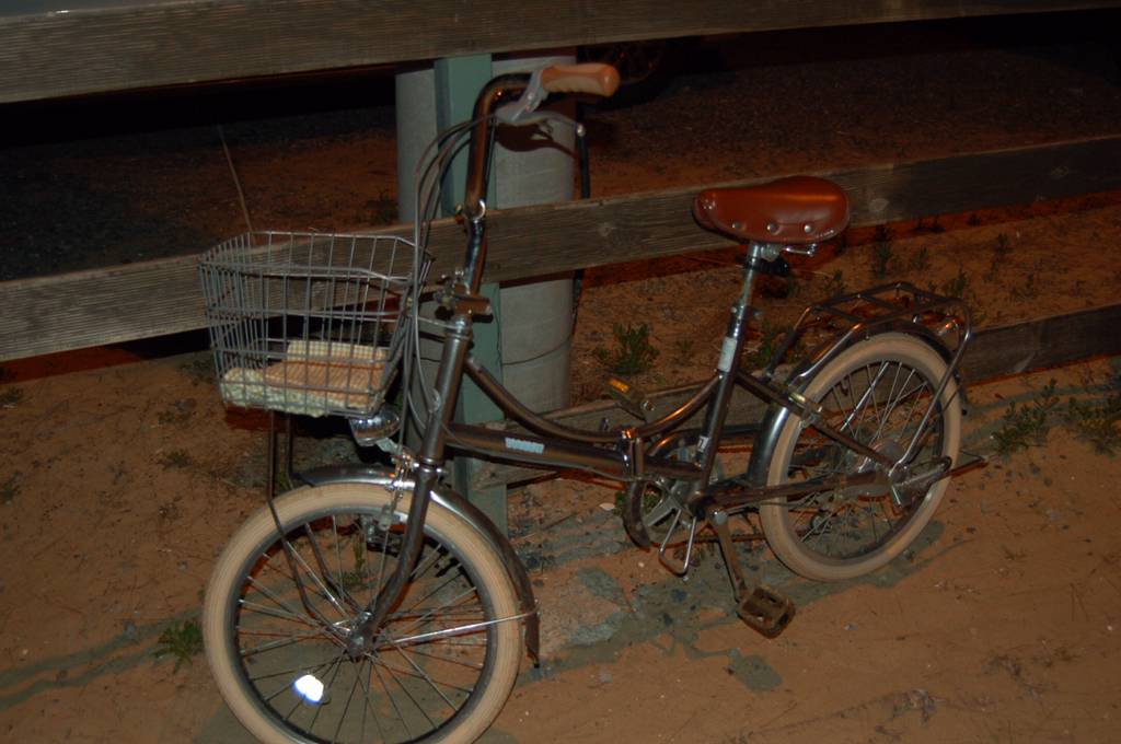 반년동안 모은 자전거 바구니 사진 🚲✨🌿 | 인스티즈
