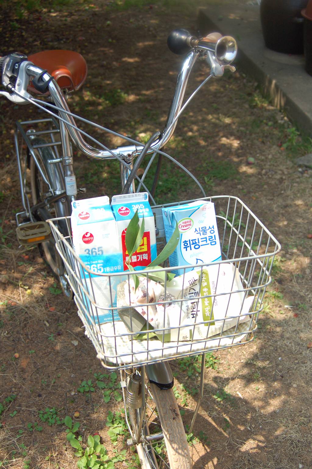 반년동안 모은 자전거 바구니 사진 🚲✨🌿 | 인스티즈