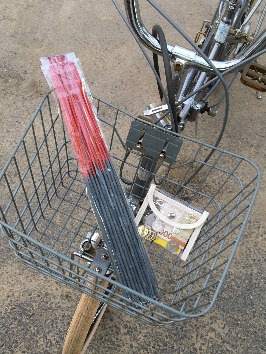 반년동안 모은 자전거 바구니 사진 🚲✨🌿 | 인스티즈
