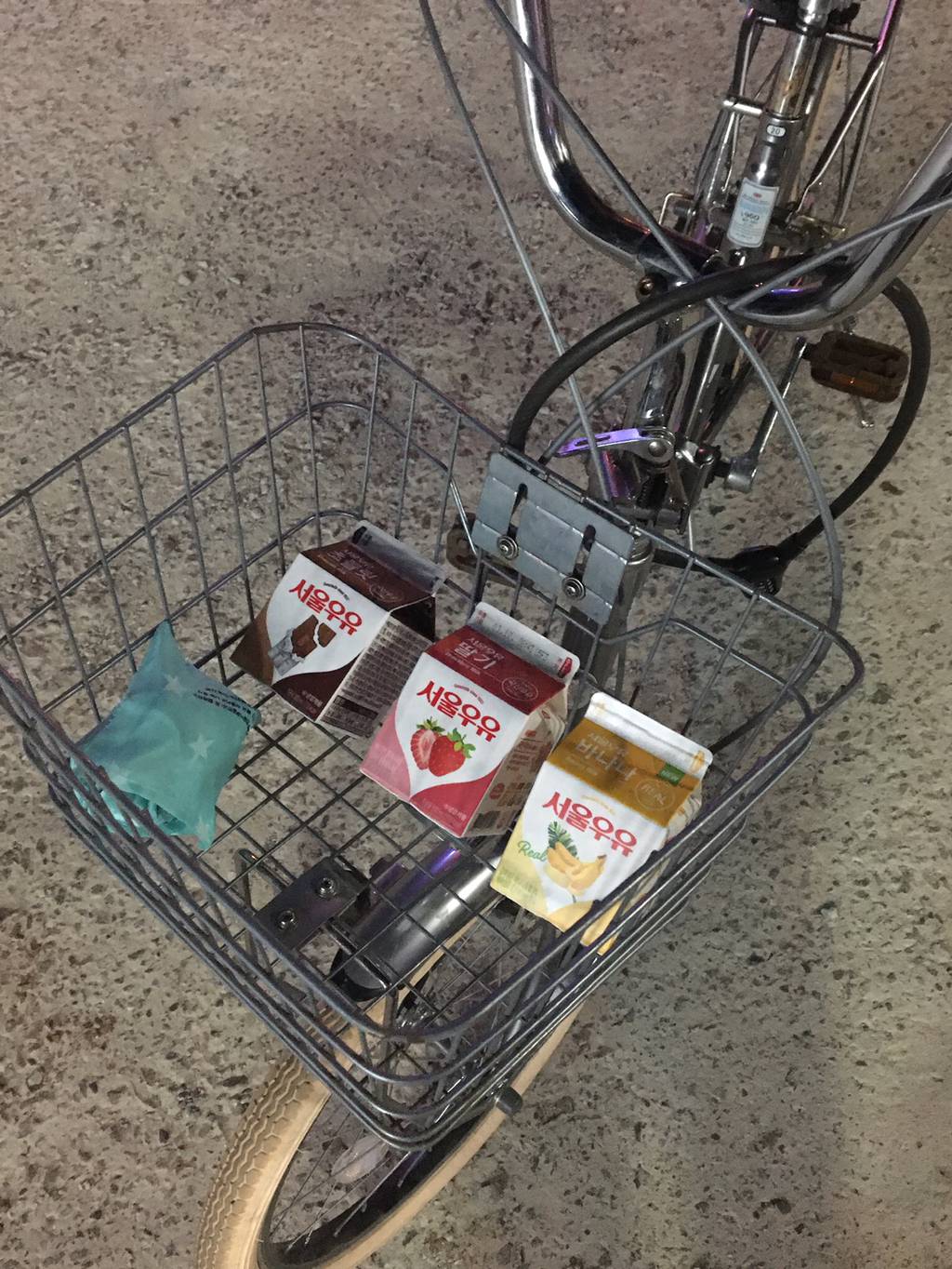반년동안 모은 자전거 바구니 사진 🚲✨🌿 | 인스티즈