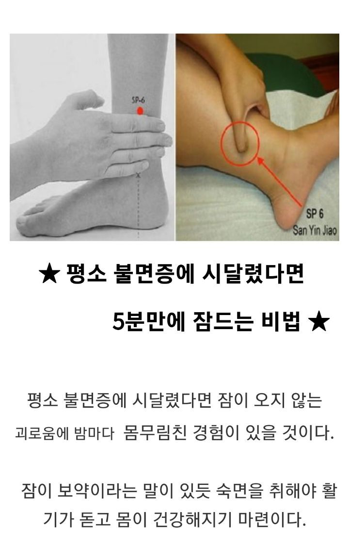 불면증에 시달리는 분 5분만에 잠드는 방법 | 인스티즈