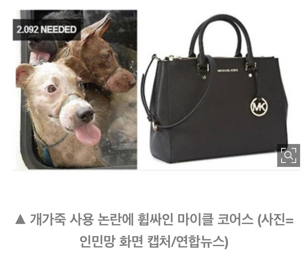 '마이클 코어스 핸드백' 중국산 개가죽 사용 논란 확산 | 인스티즈