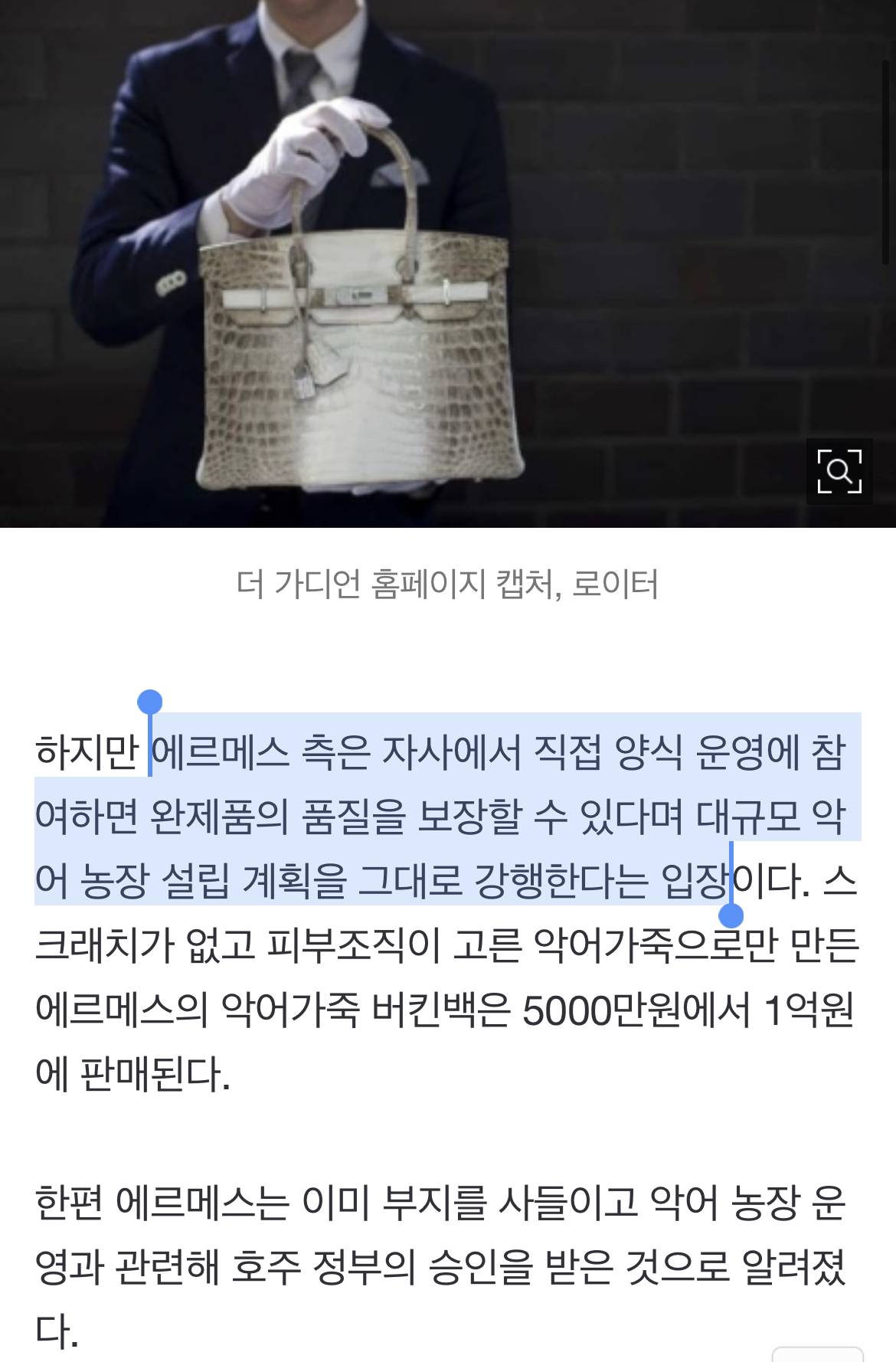 동물학대가 뭐야?…에르메스, 명품백용 악어농장 강행한다 | 인스티즈