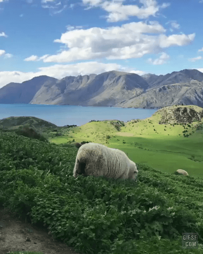 뉴질랜드 와나카 풍경 | 인스티즈