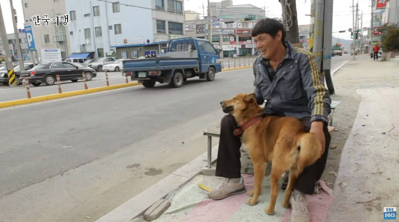 세계 명견으로 등록되어 있는 우리나라 토종견 | 인스티즈