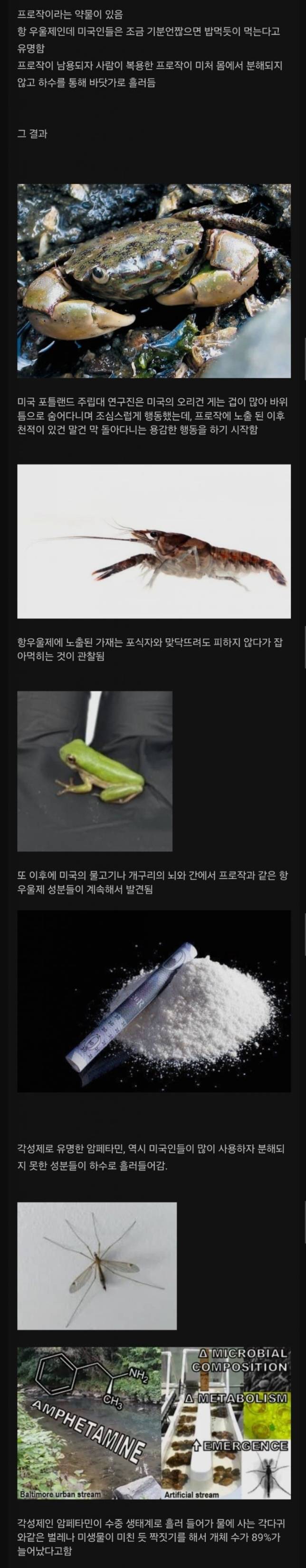 미국인들 항우울제 사용이 늘어나자 나타난 현상 | 인스티즈