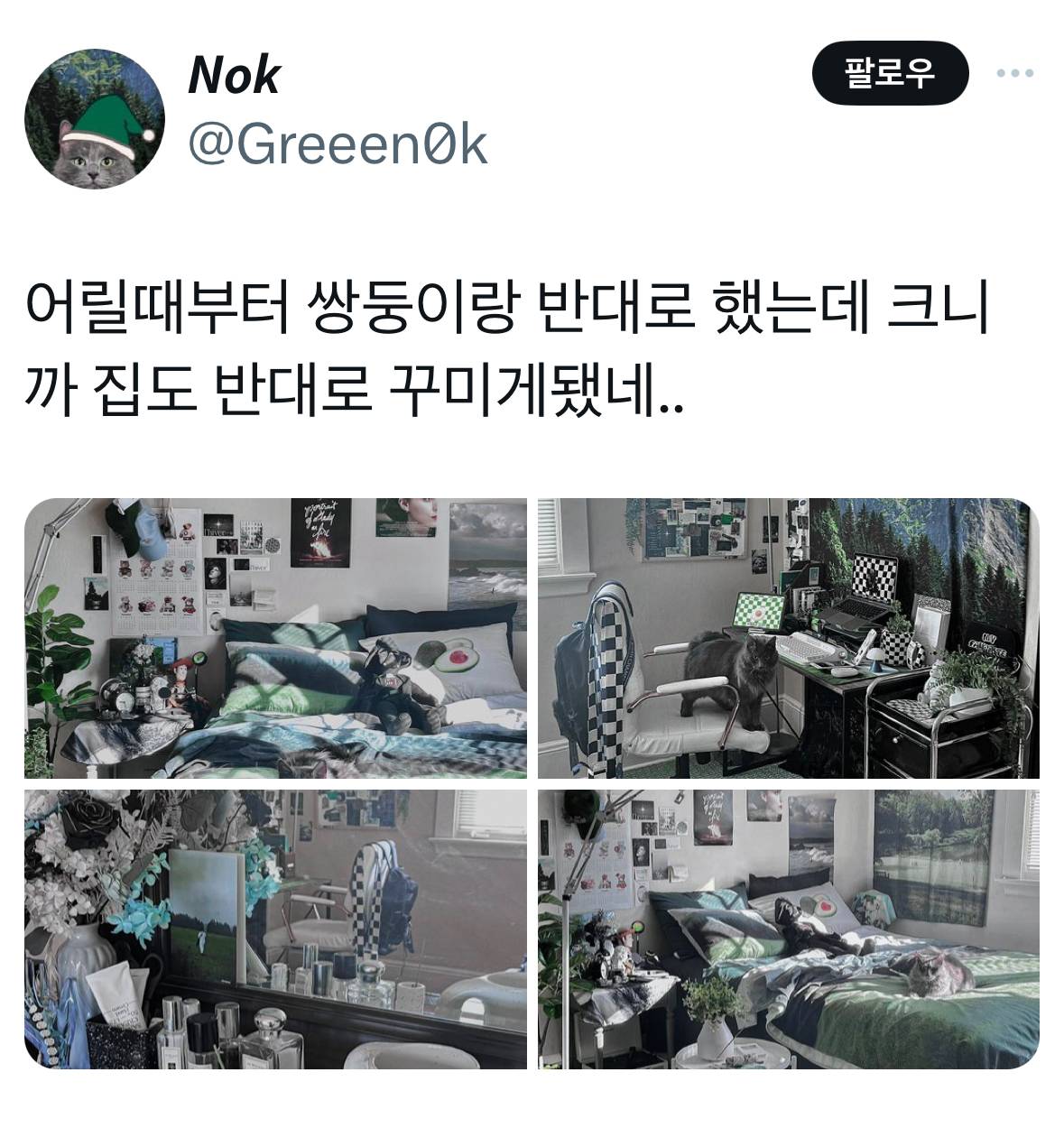 미국 케이크 진짜 정말 못생겨가지고 이런 사람 오면 당장 데려갈듯.twt | 인스티즈