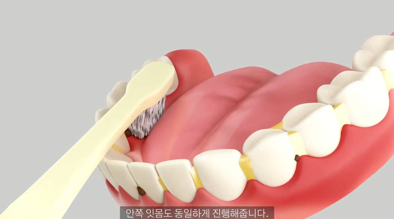 치과의사들이 추천한다는 양치질 방법 | 인스티즈