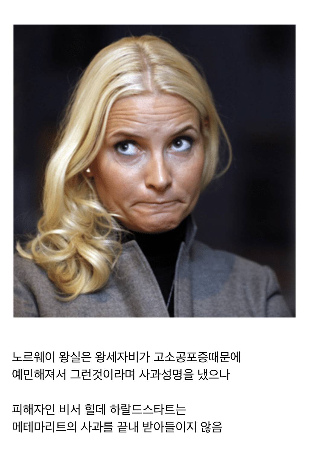 마약사범이었던 노르웨이 왕세자비.jpg | 인스티즈