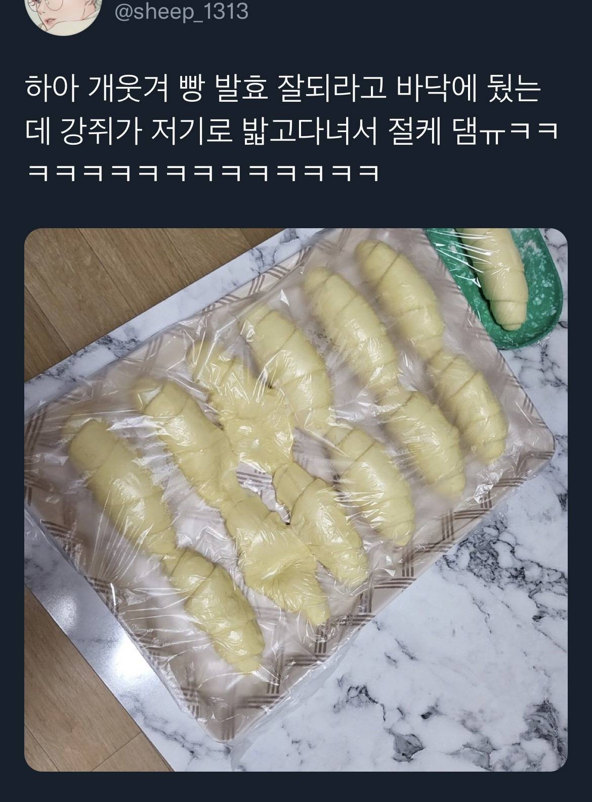 빵 발효 잘되라고 바닥에 뒀는데.twt | 인스티즈