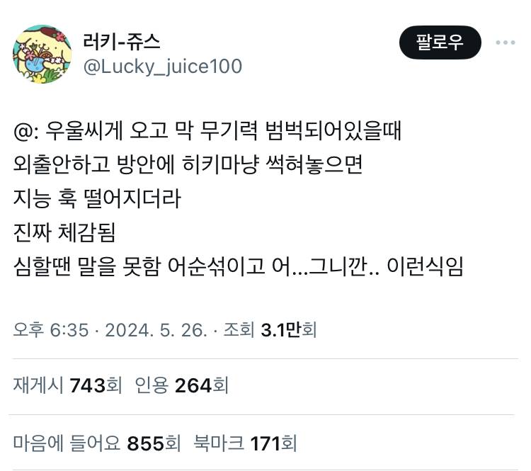 우울씨게 오고 막 무기력 범벅되어있을때 외출안하고 방안에 히키마냥 썩혀놓으면 지능 훅 떨어지더라 진짜 체감됨 twt | 인스티즈