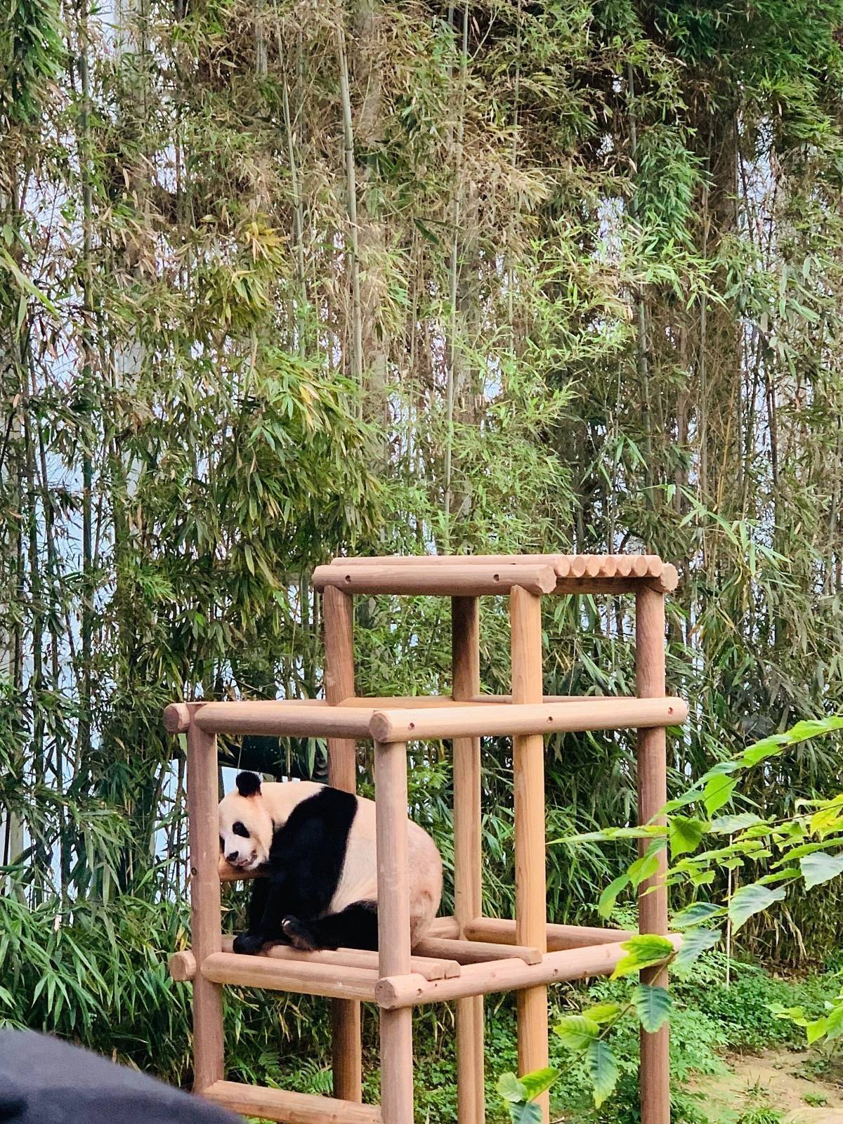 러바오🐼 어라? 신축인데 왜 벌써 바닥이 주저앉았지? | 인스티즈