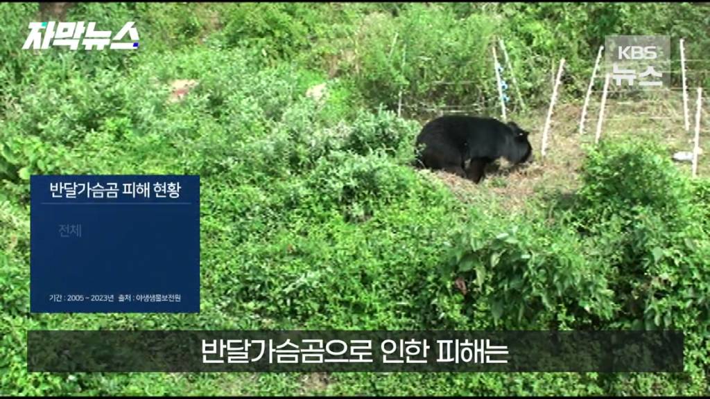 스압)지리산 반달가슴곰, 양봉 농가 꿀 빼먹었다 | 인스티즈