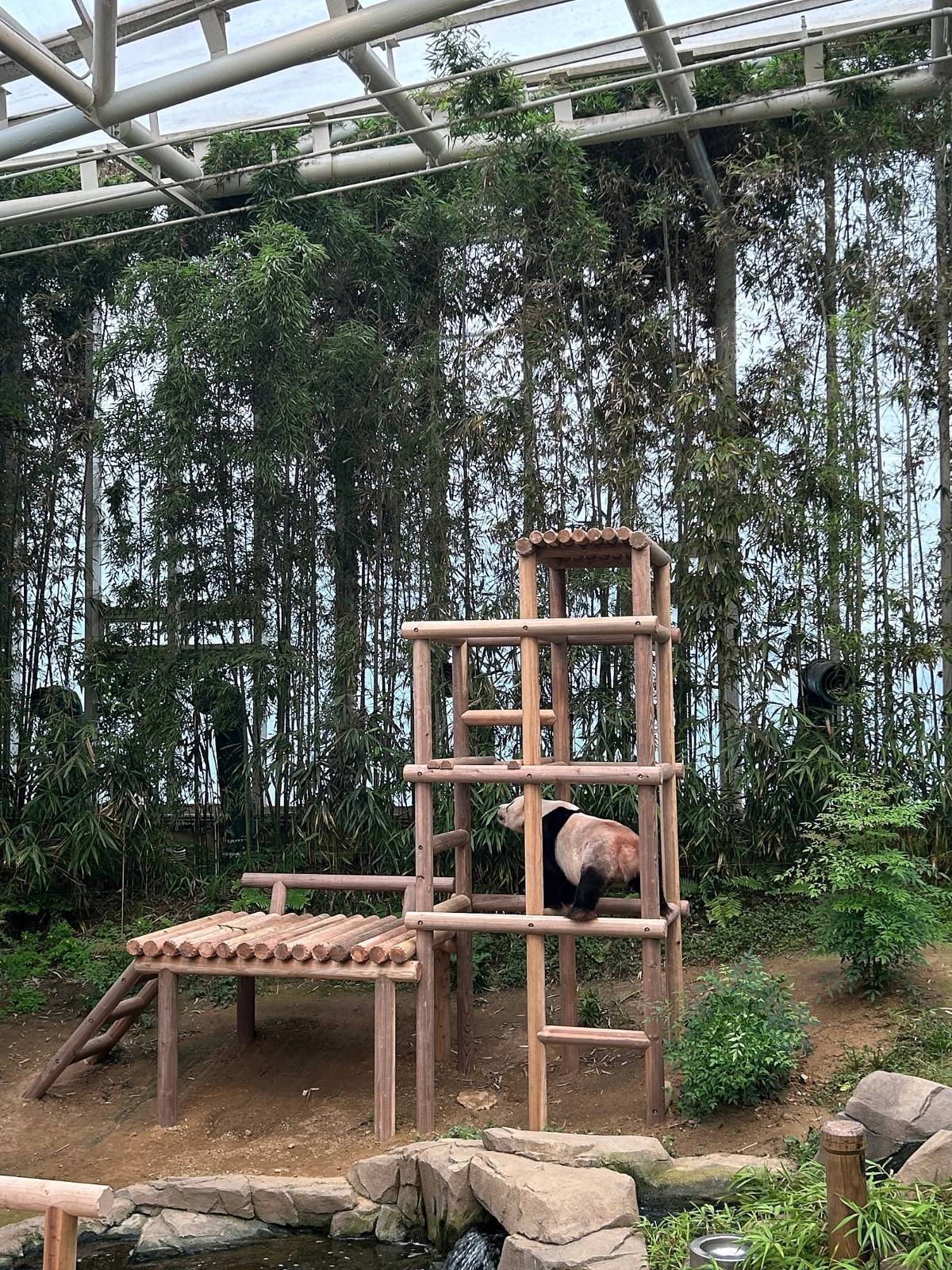 러바오🐼 어라? 신축인데 왜 벌써 바닥이 주저앉았지? | 인스티즈