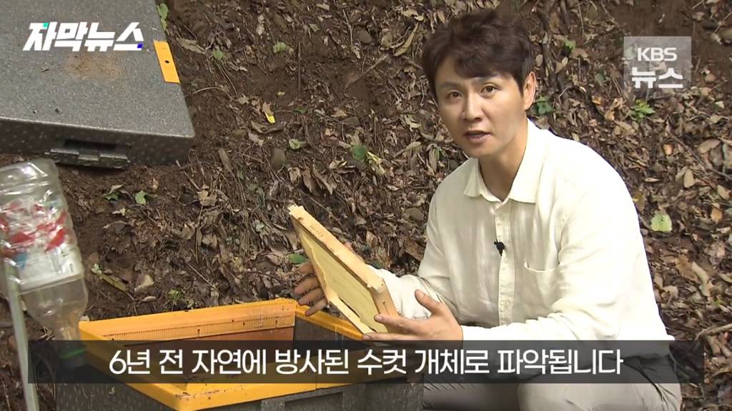 스압)지리산 반달가슴곰, 양봉 농가 꿀 빼먹었다 | 인스티즈