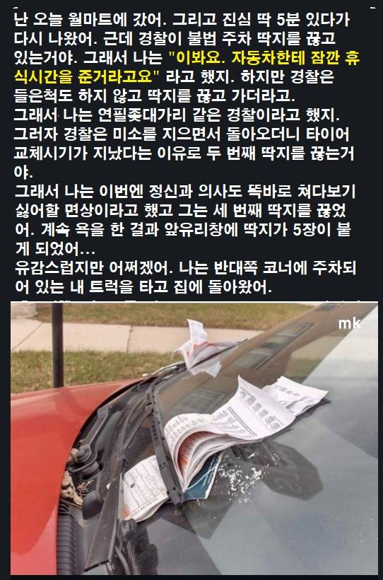 딱지 끊는 경찰에게 욕을 한 결과 | 인스티즈