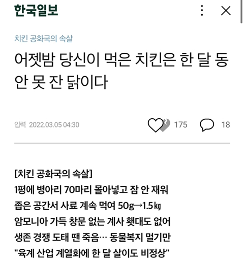 어젯밤 당신이 먹은 치킨은 한 달 동안 못 잔 닭이다 | 인스티즈