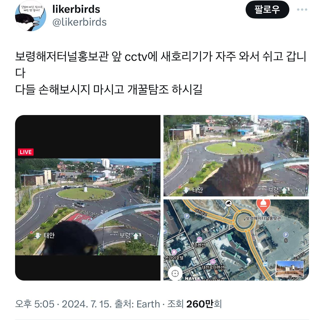 보령해저터널홍보관 앞 cctv에 새호리기가 자주 와서 쉬고 갑니다 다들 손해보시지 마시고 개꿀탐조 하시길 | 인스티즈