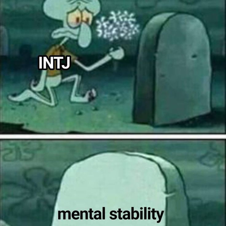 INTJ, ISTJ들이 남들볼때 이해안가는 부분 말해보는 달글 | 인스티즈