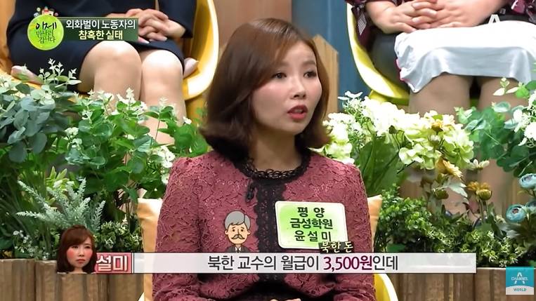 고난의행군때 300만명 넘게 사망한거 몰랐던 탈북민 | 인스티즈