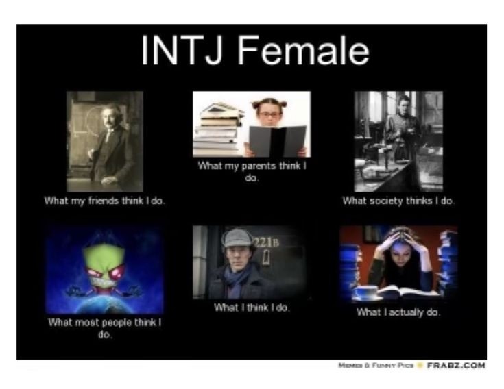 INTJ, ISTJ들이 남들볼때 이해안가는 부분 말해보는 달글 | 인스티즈