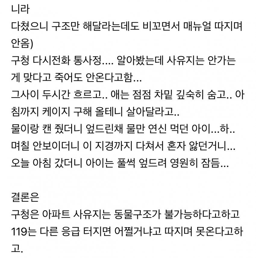 119 구조대가 안도와줘서 서글픈 캣맘 | 인스티즈