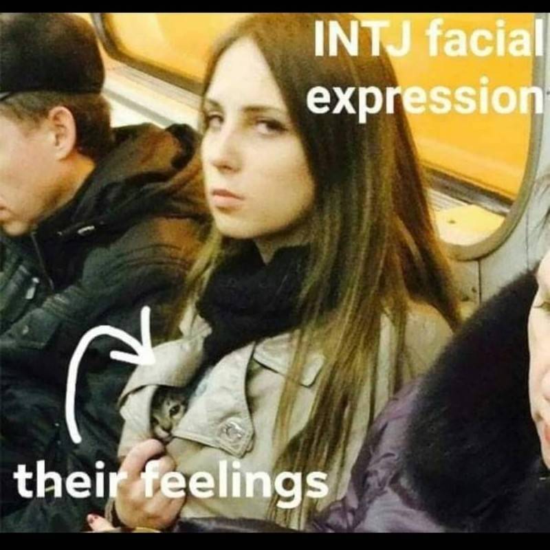 INTJ, ISTJ들이 남들볼때 이해안가는 부분 말해보는 달글 | 인스티즈