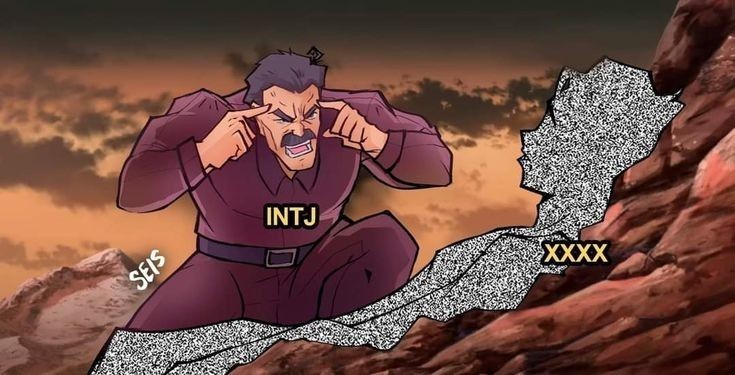 INTJ, ISTJ들이 남들볼때 이해안가는 부분 말해보는 달글 | 인스티즈