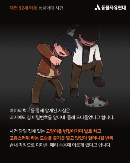 친구집 고양이 딱밤 때려 죽인 12세… "동물 학대 심각 수준" | 인스티즈