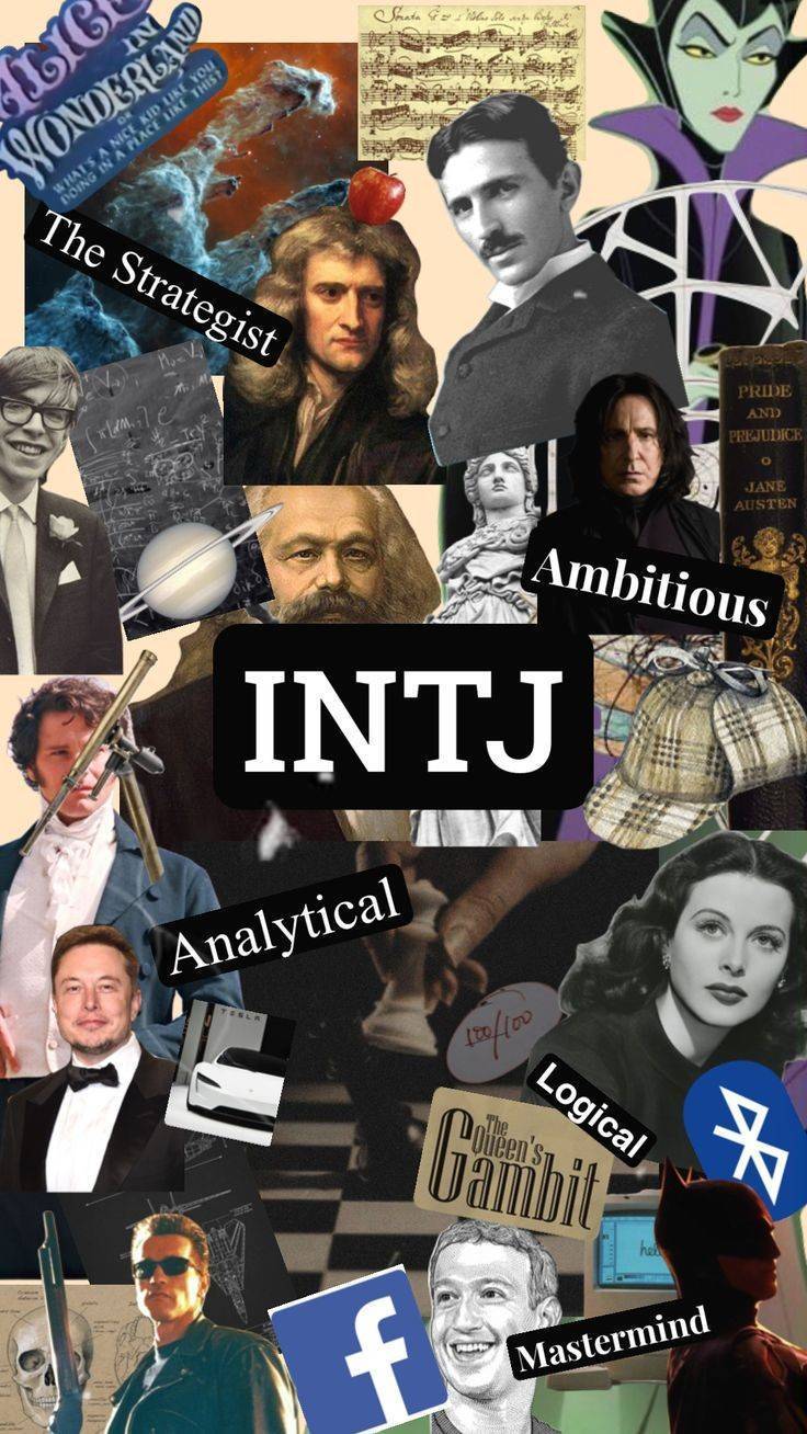 INTJ, ISTJ들이 남들볼때 이해안가는 부분 말해보는 달글 | 인스티즈