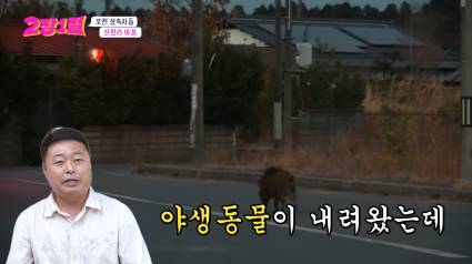 고조,증조,할아버지,아버지,본인,아이들 총 6대째 살고 있다는 장소 | 인스티즈