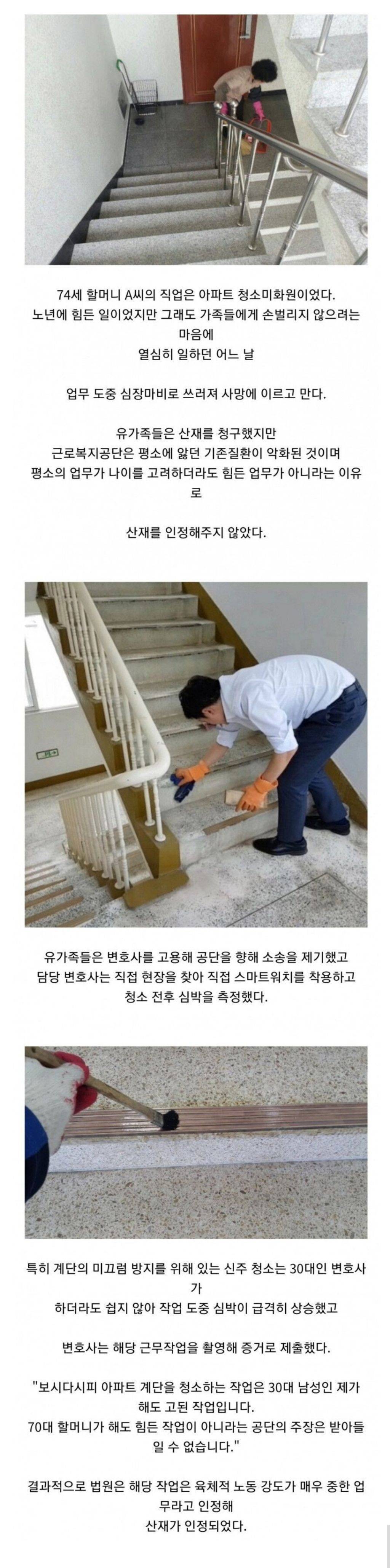 40대에 알바하면서 꿈을30대 변호사가 아파트 계단을 청소한 이유 이룬 여배우 | 인스티즈