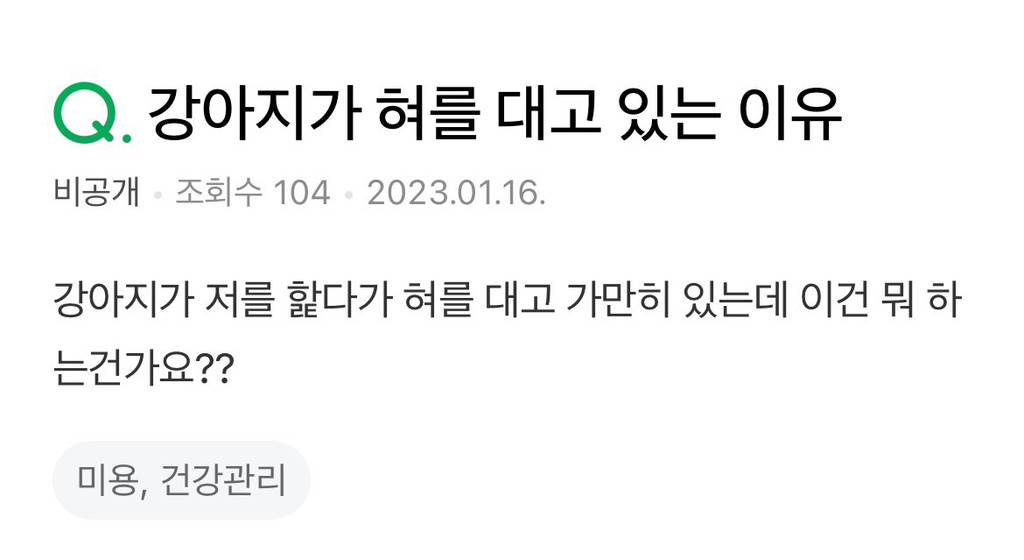 Q. 강아지가 혀를 대고 있는 이유 | 인스티즈