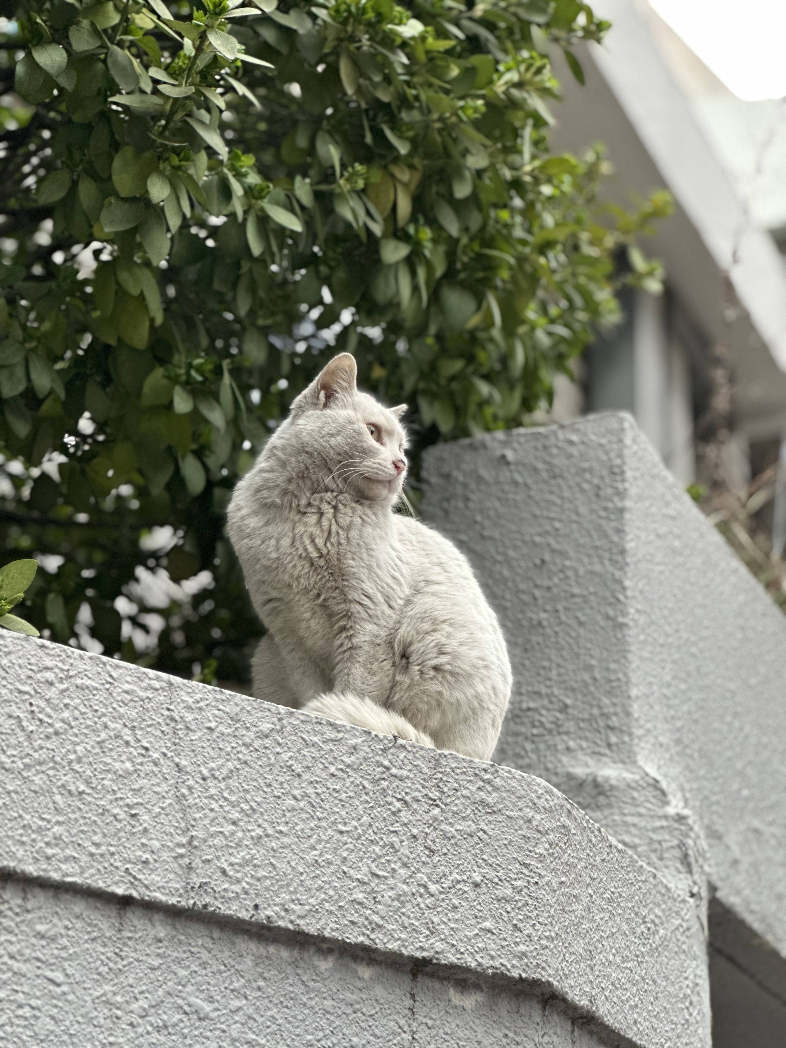 저 사람은 지 여동생 번호도 모르나봐 | 인스티즈