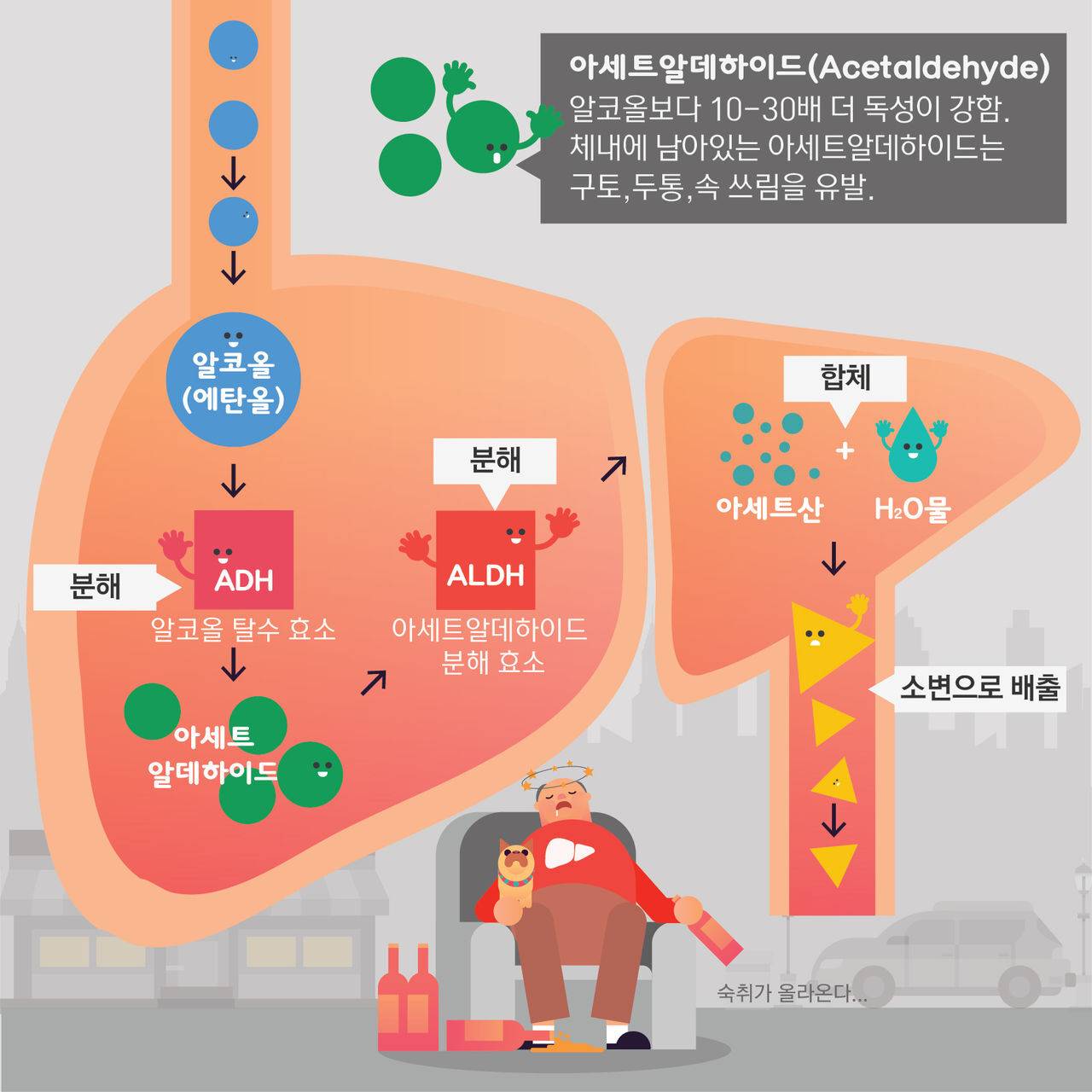 숙취해소제 정말 효과있을까?.....알고보니 플라시보 효과? | 인스티즈