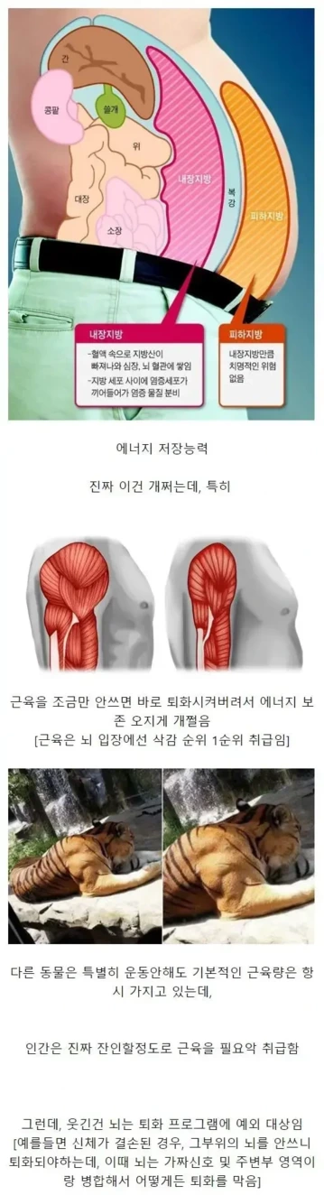 인간의 S급 능력 중 하나 | 인스티즈