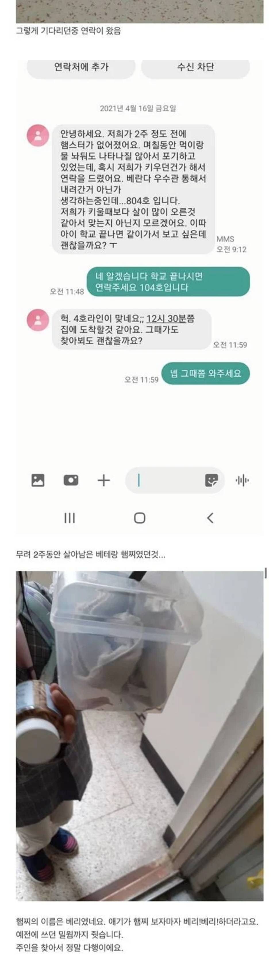 집에서 쥐가 나왔는데 햄스터 같기도 하고 | 인스티즈