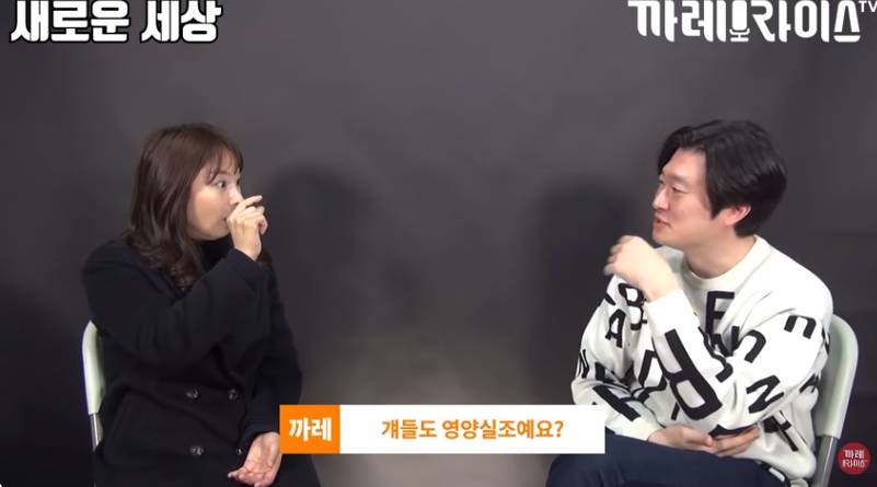 탈북여성이 중국에서 살았던 이유 | 인스티즈