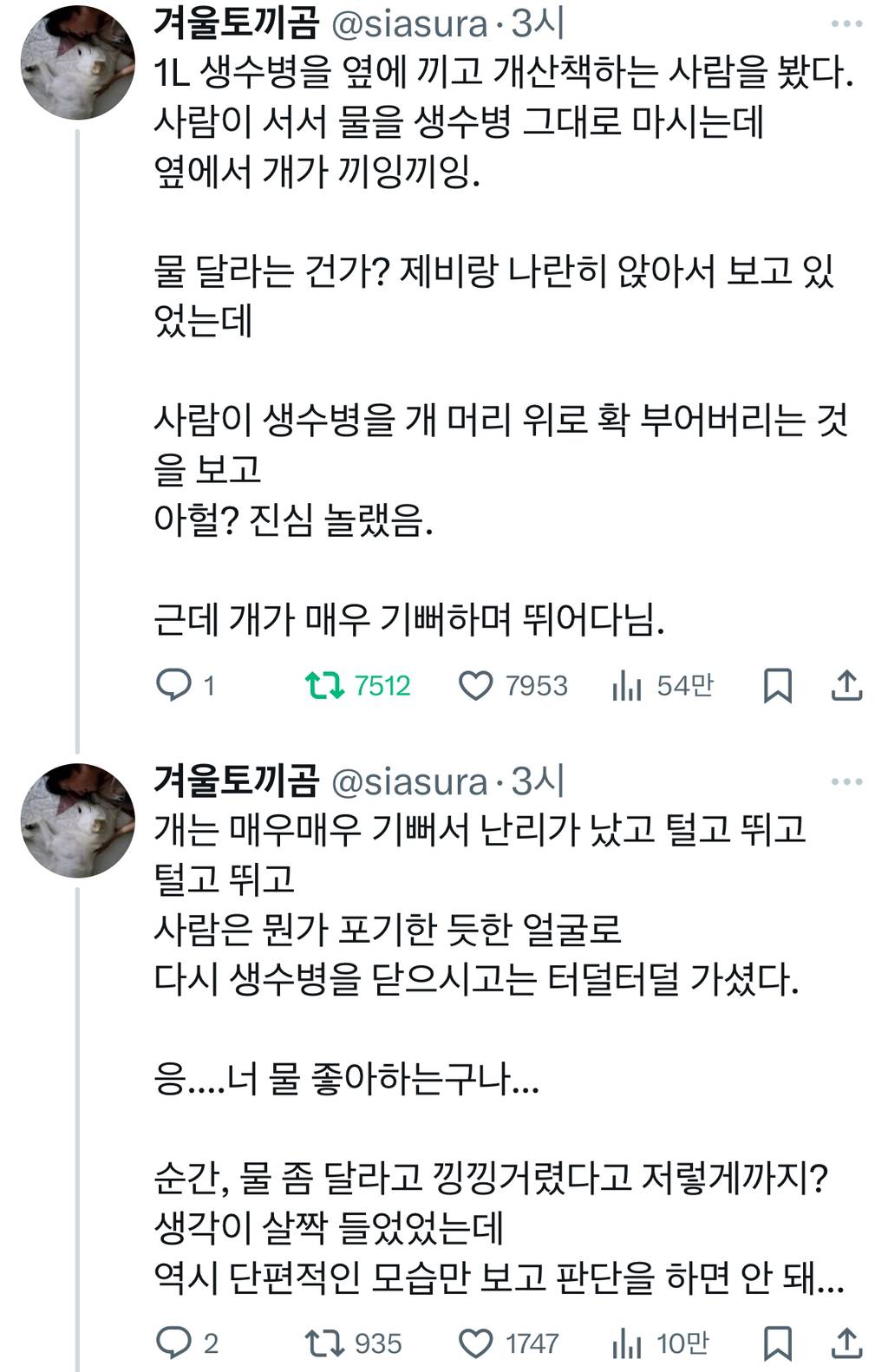 산책하는 개 머리 위에 생수를 부어버리던 개주인.x | 인스티즈