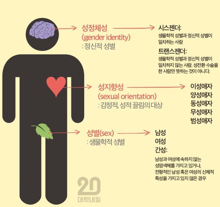 최신 성별 분류법.jpg | 인스티즈