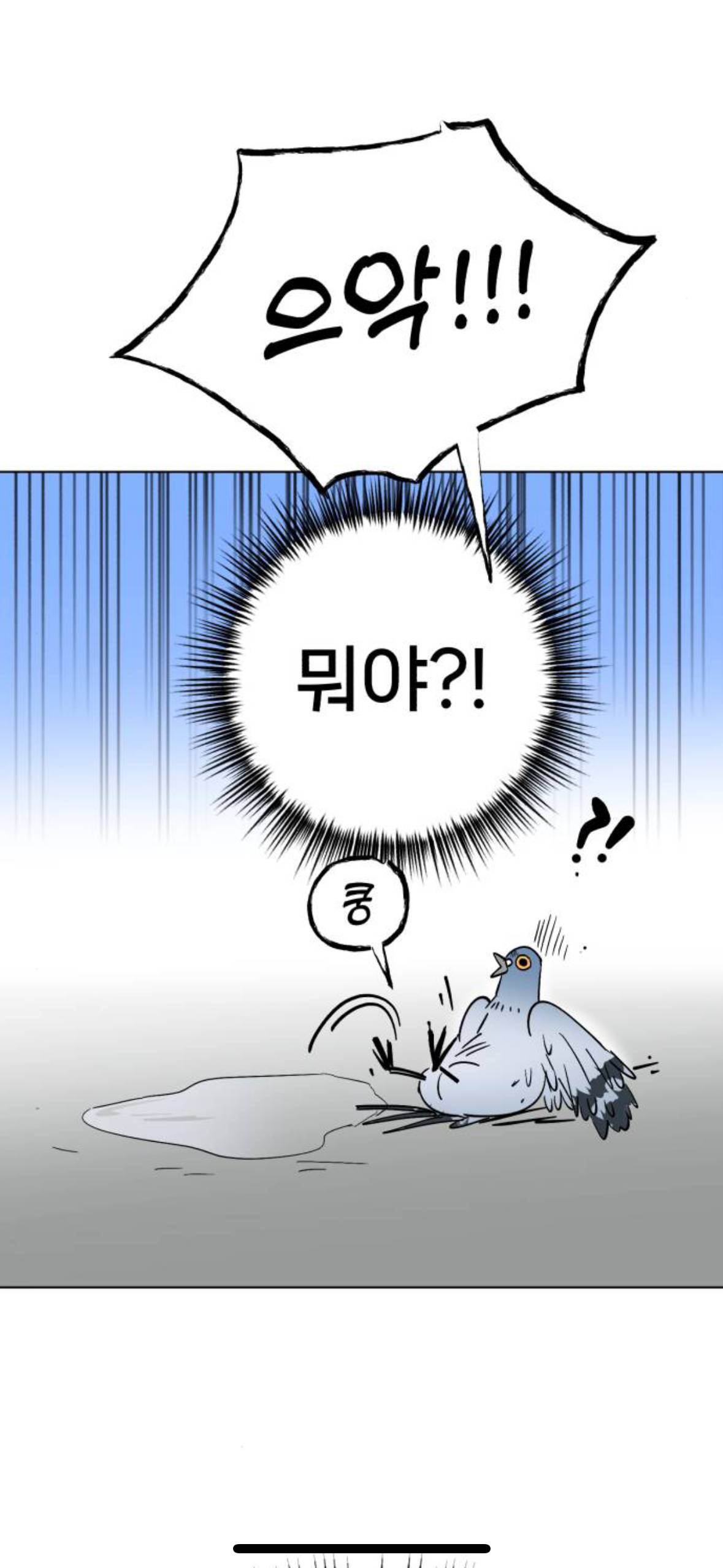 아니 내가 살다살다 비둘기를 볼려고 돈을쓰네 | 인스티즈