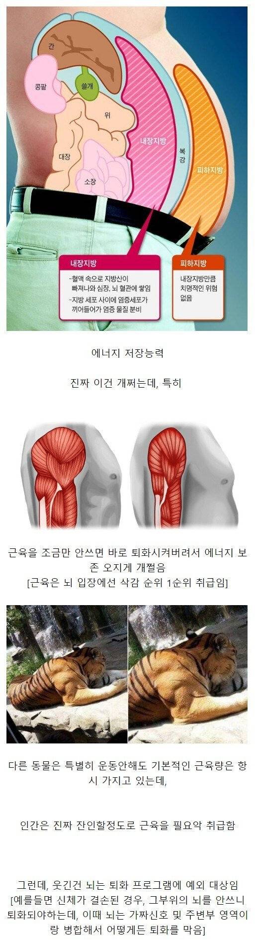 인간 신체가 보유한 S급 기능 중 하나 | 인스티즈