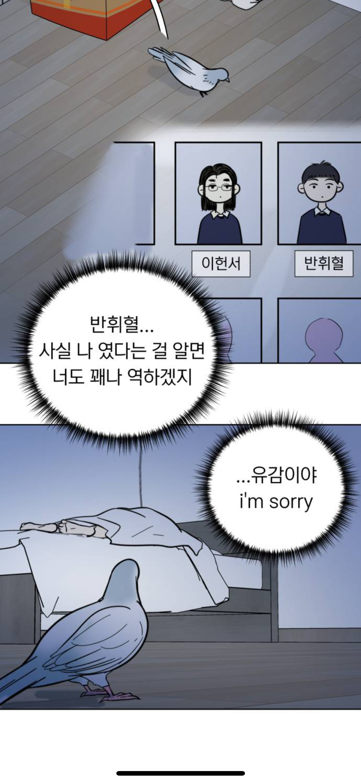 아니 내가 살다살다 비둘기를 볼려고 돈을쓰네 | 인스티즈