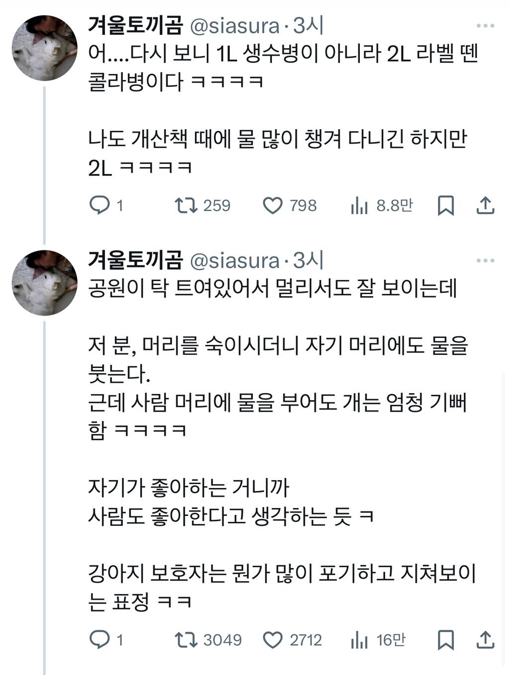 산책하는 개 머리 위에 생수를 부어버리던 개주인.x | 인스티즈