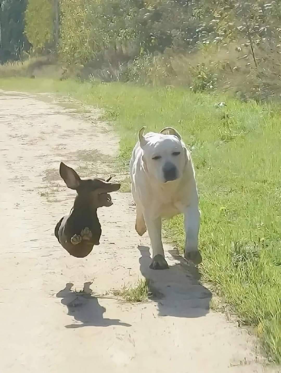 한눈에 보이는 외향형과 내향형.jpg | 인스티즈