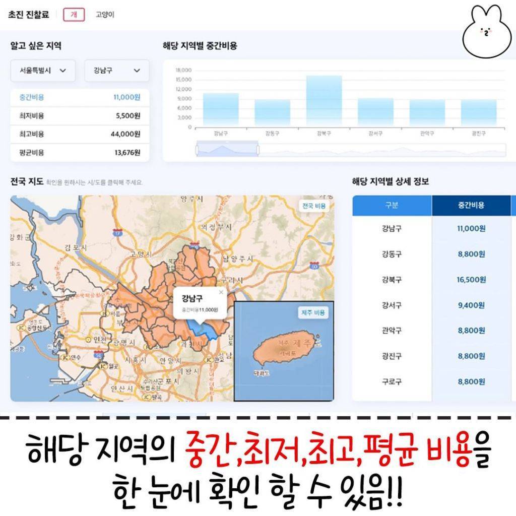 동물병원 호구 안 당하는 꿀팁 | 인스티즈