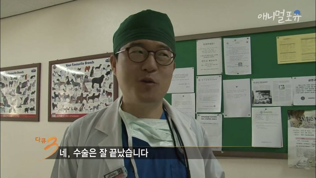 [다큐3일] 대학 동물병원의 72시간 | 인스티즈