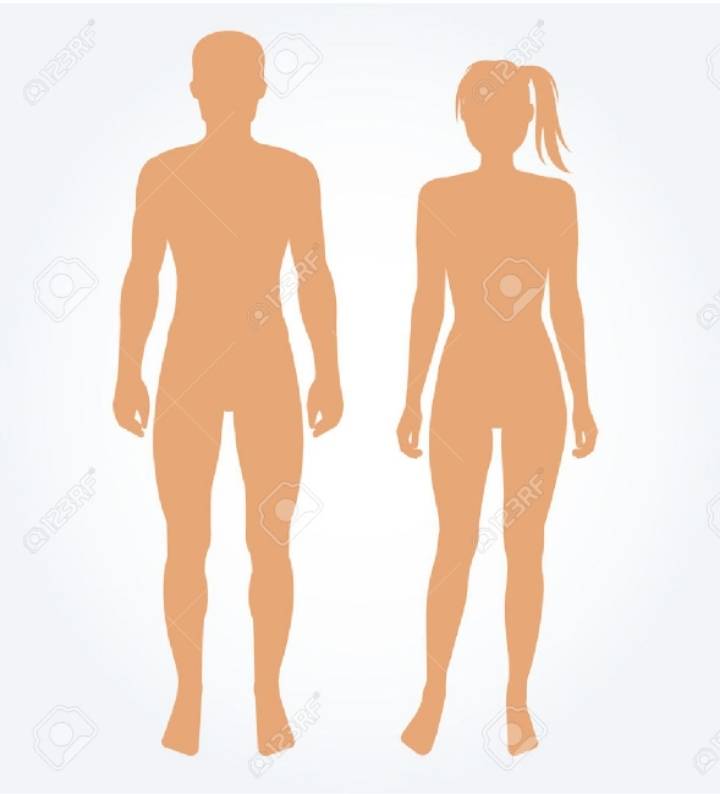 다이어트 하니까 무조건 (체)지방을 없애야겠지?는 당신의 착각과 큰실수 | 인스티즈