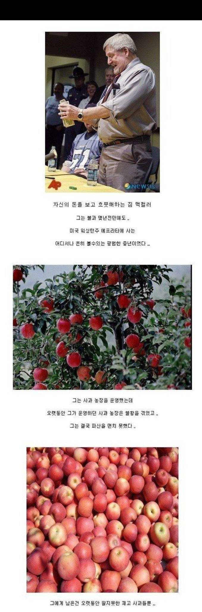 사과농장이 망했음에도 수천억을 벌수 있었던 이유 | 인스티즈