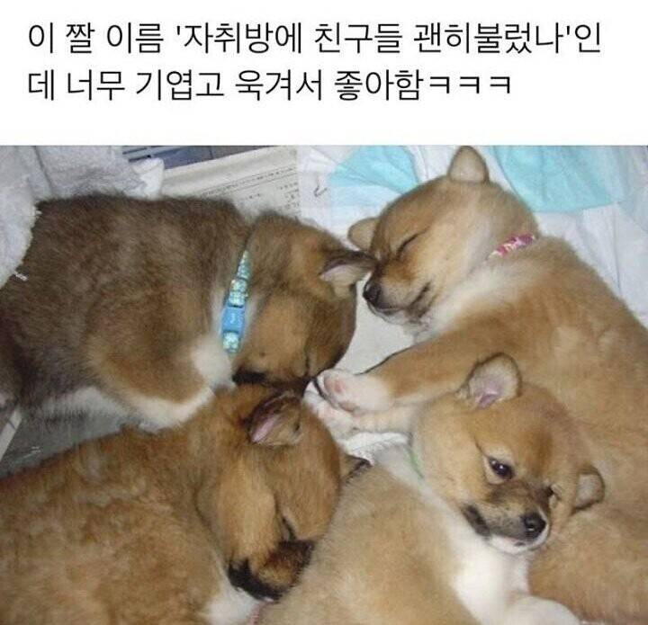 자취방에 친구들 괜히 불렀나.jpg | 인스티즈